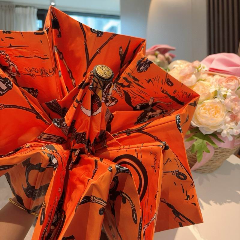 Hermes Umbrella (1317)