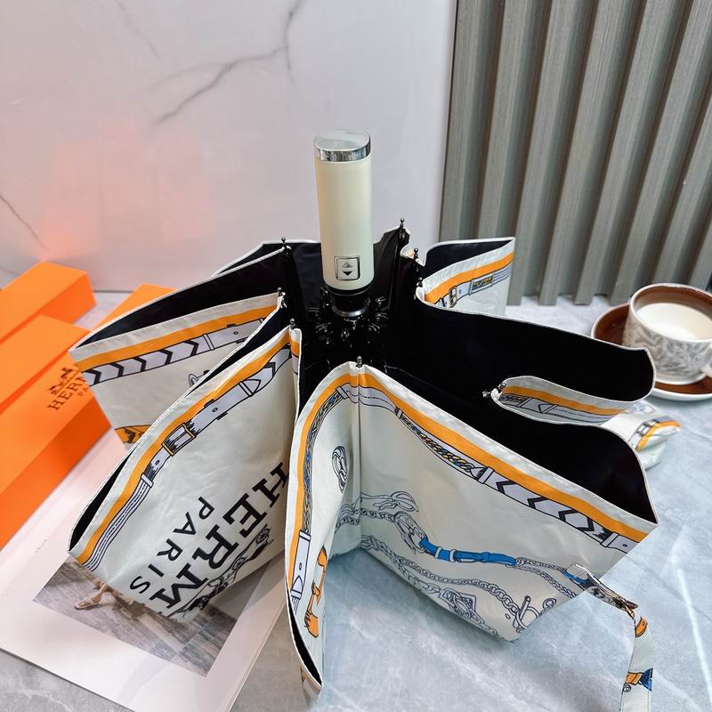 Hermes Umbrella (14)