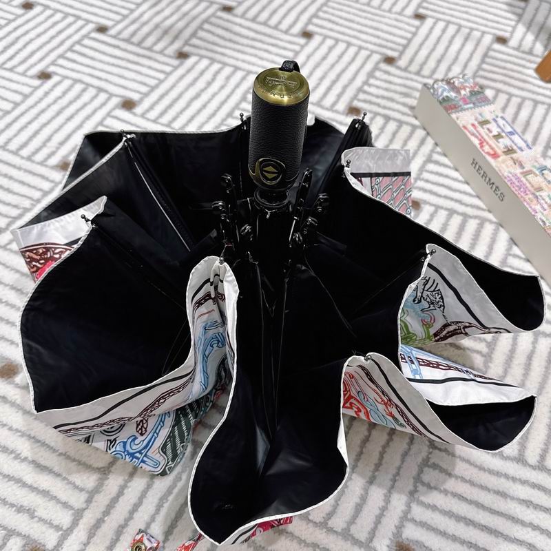 Hermes Umbrella (149)