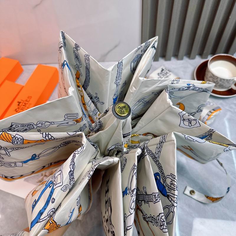 Hermes Umbrella (15)