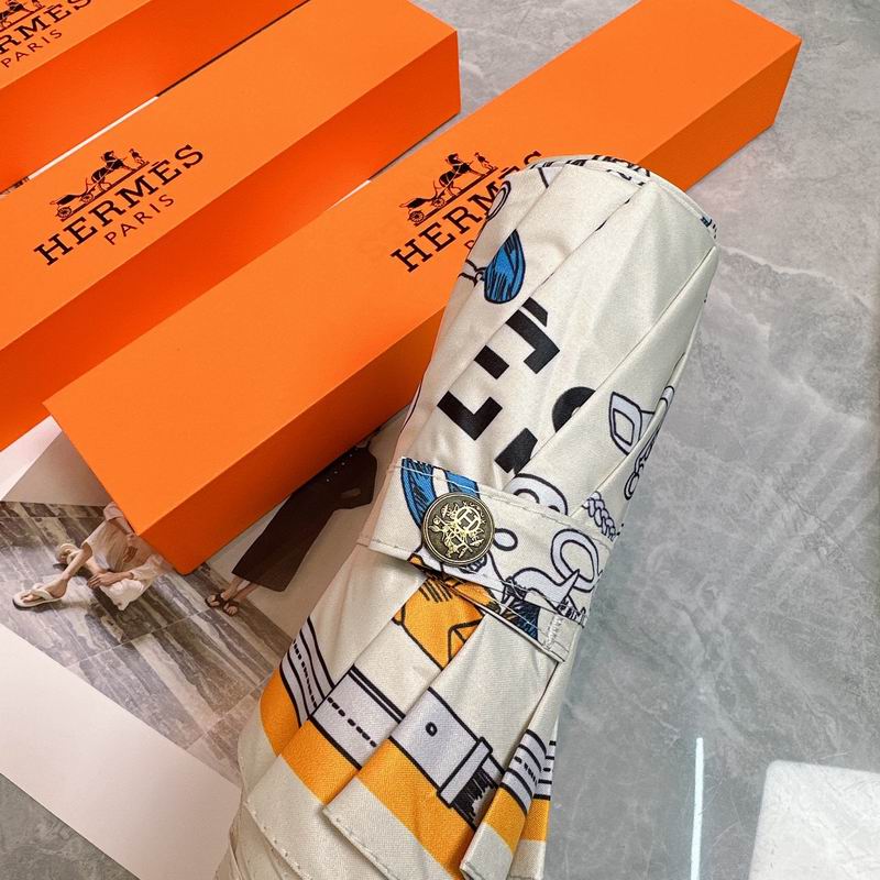 Hermes Umbrella (16)