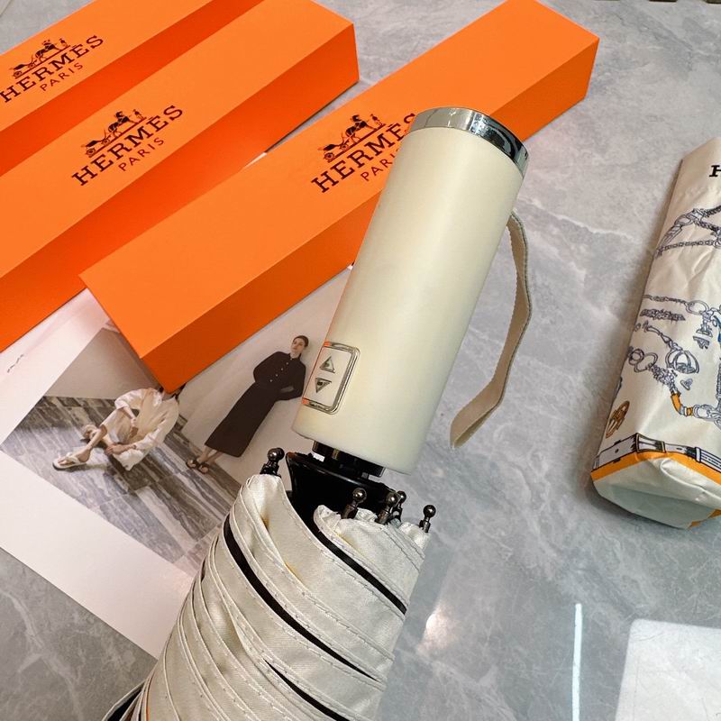 Hermes Umbrella (17)