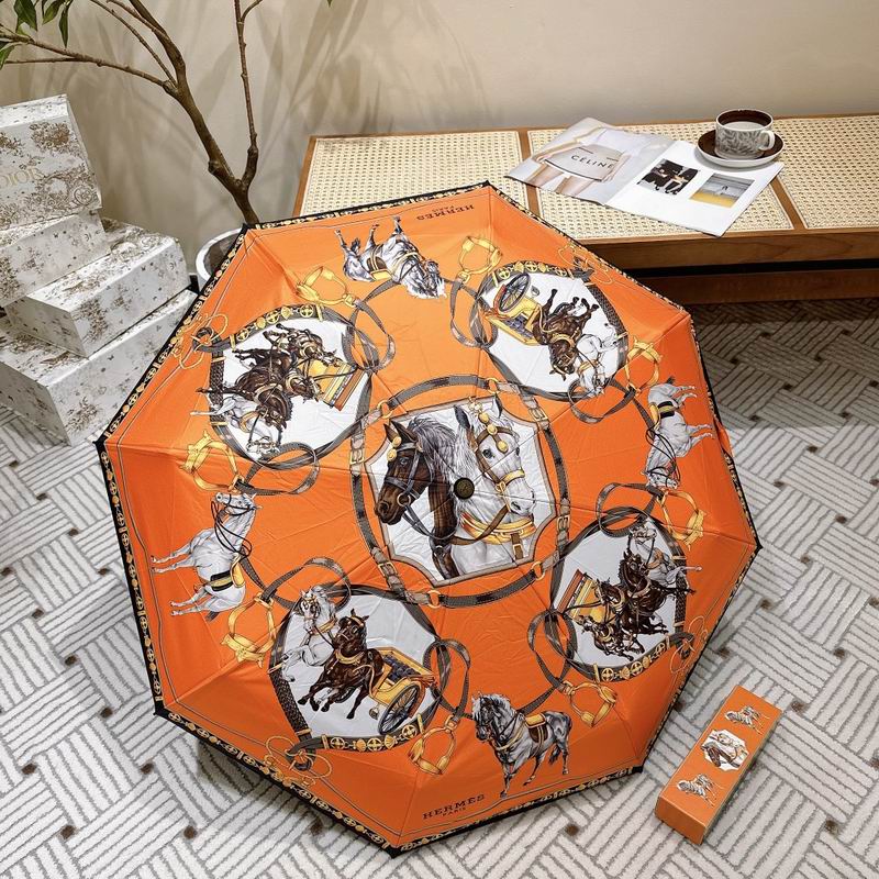 Hermes Umbrella (173)
