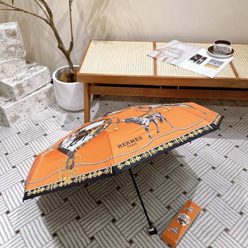 Hermes Umbrella (174)