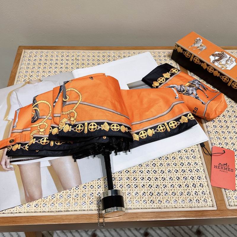 Hermes Umbrella (176)