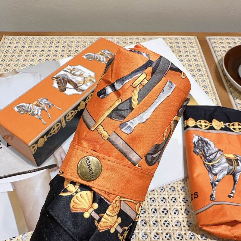 Hermes Umbrella (177)