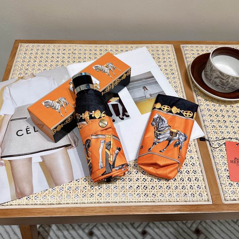 Hermes Umbrella (179)