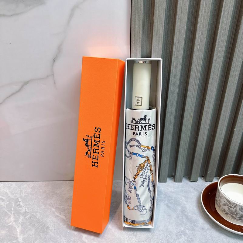 Hermes Umbrella (18)