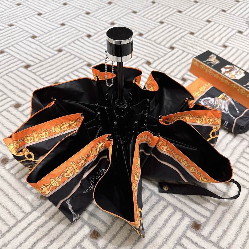 Hermes Umbrella (183)