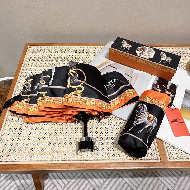 Hermes Umbrella (185)