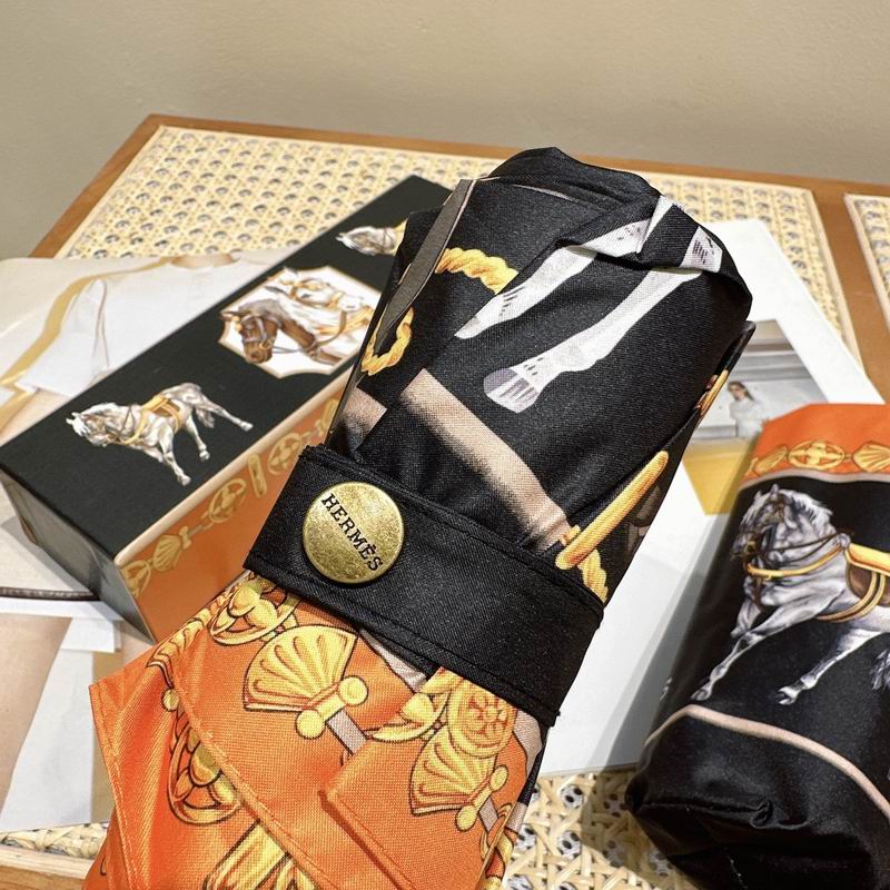 Hermes Umbrella (186)