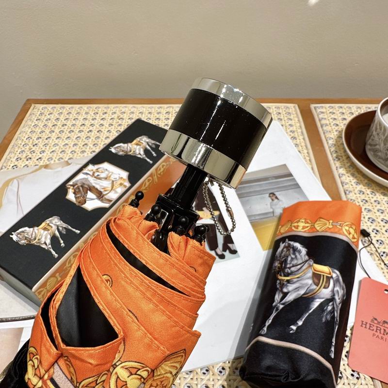 Hermes Umbrella (187)