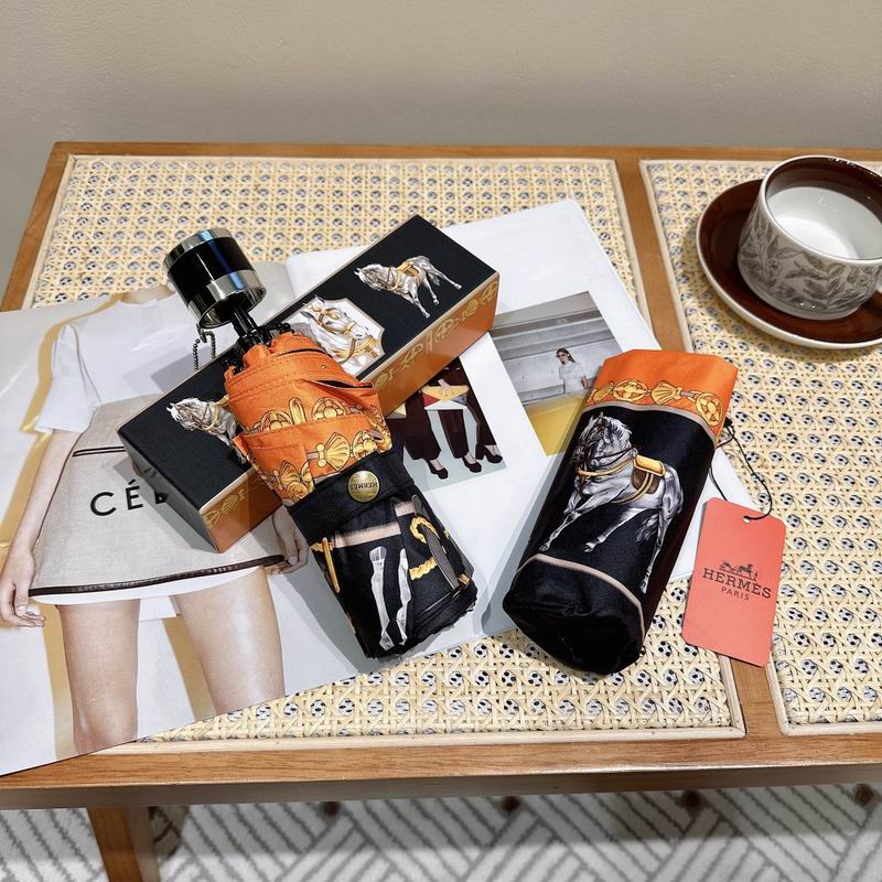 Hermes Umbrella (188)