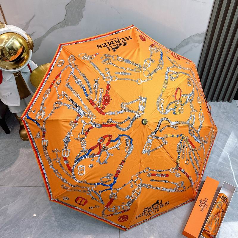 Hermes Umbrella (19)