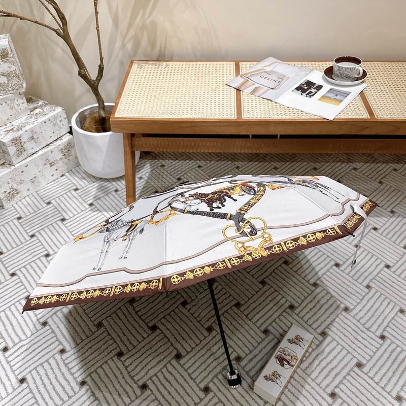 Hermes Umbrella (191)