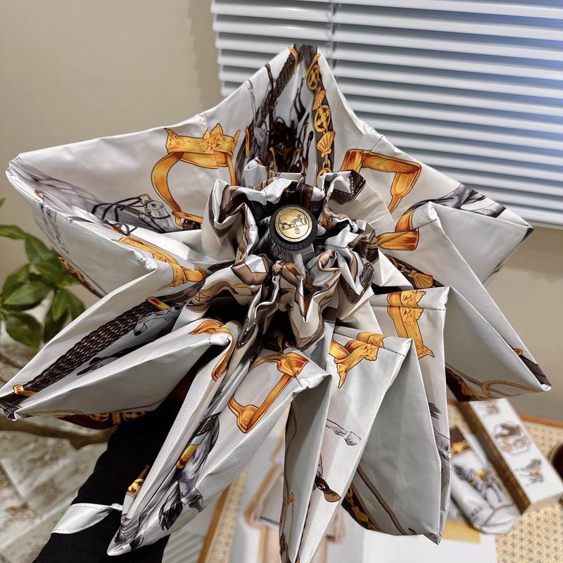 Hermes Umbrella (193)