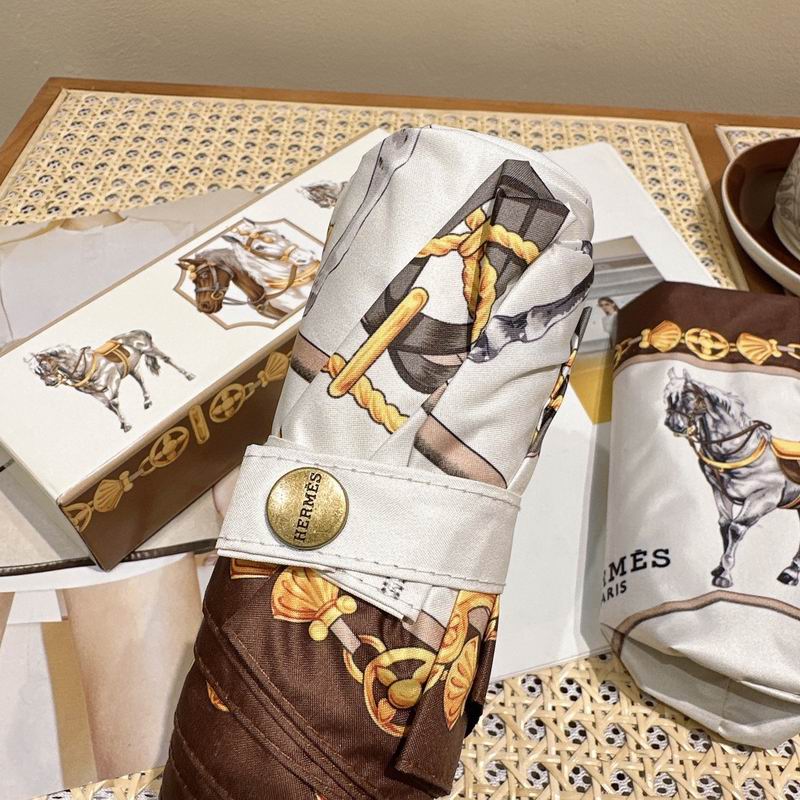 Hermes Umbrella (195)