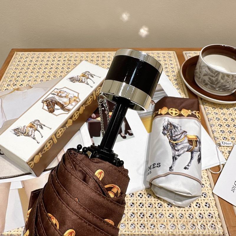 Hermes Umbrella (196)