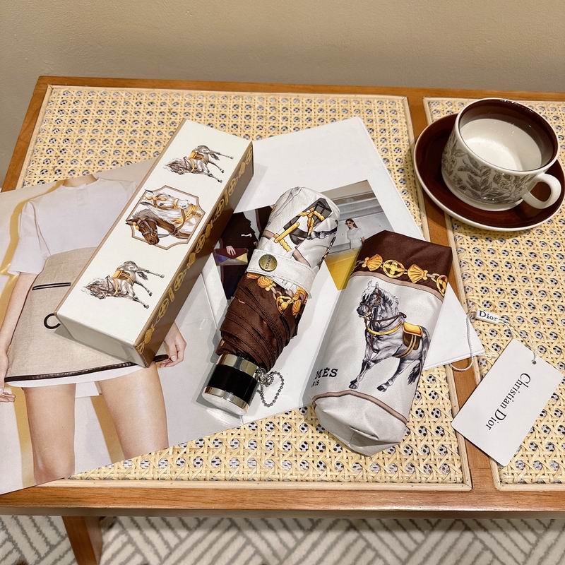 Hermes Umbrella (197)