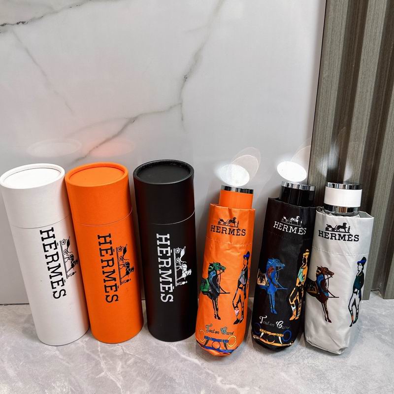 Hermes Umbrella (199)