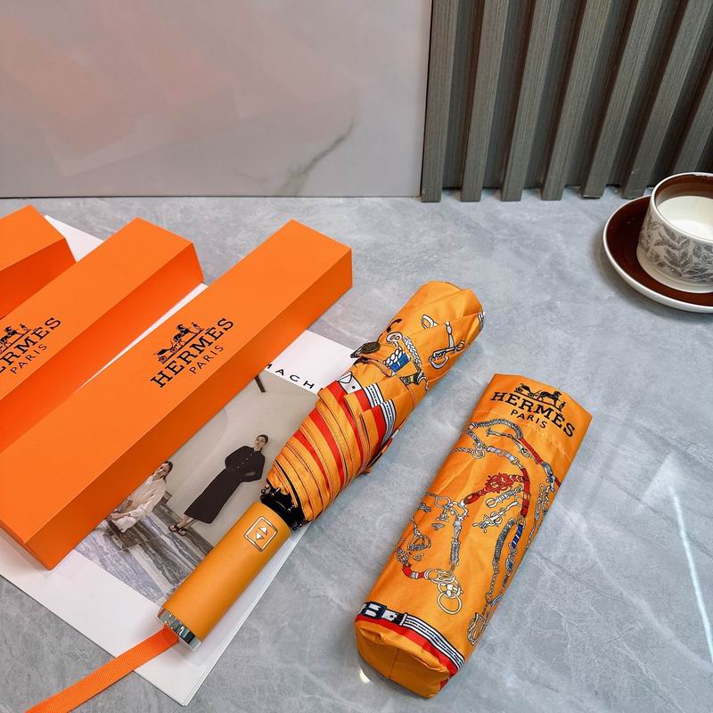 Hermes Umbrella (20)