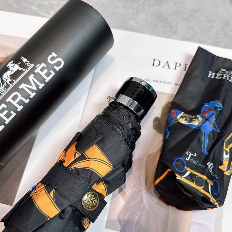 Hermes Umbrella (204)