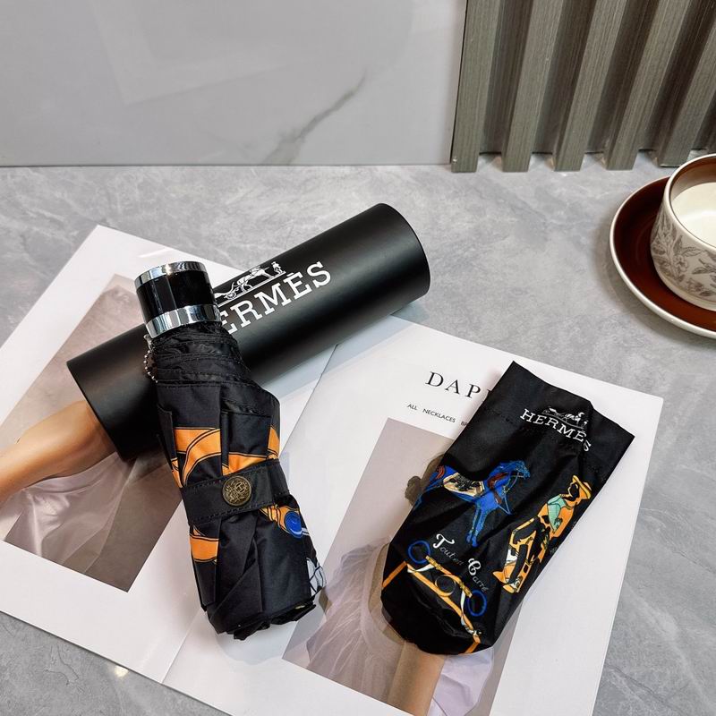 Hermes Umbrella (205)