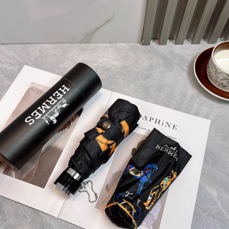 Hermes Umbrella (206)