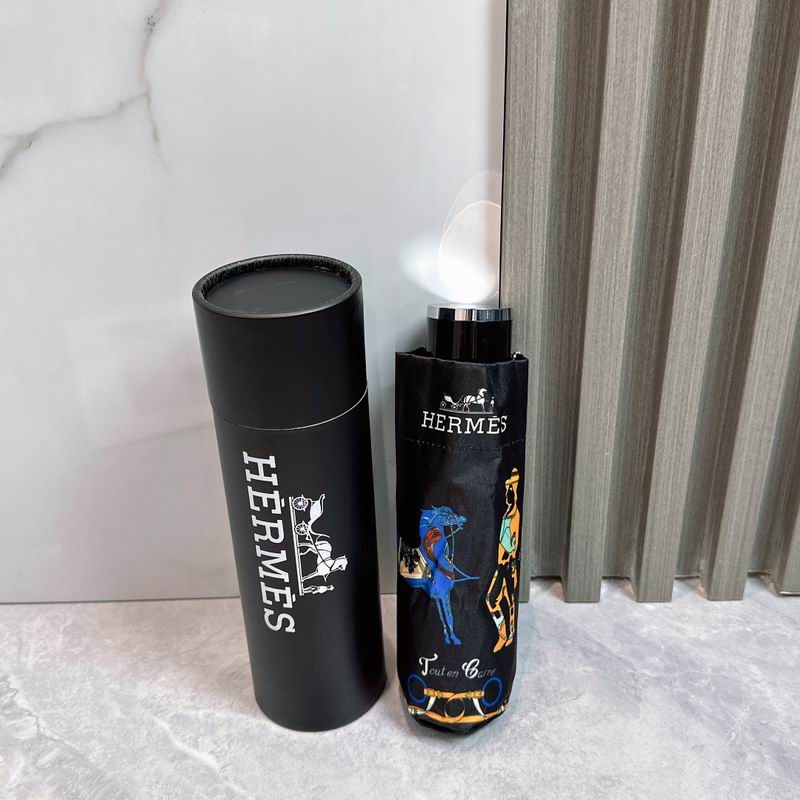 Hermes Umbrella (207)