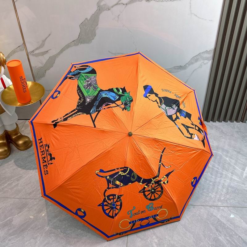 Hermes Umbrella (208)