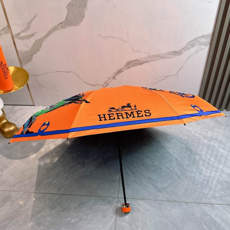 Hermes Umbrella (209)
