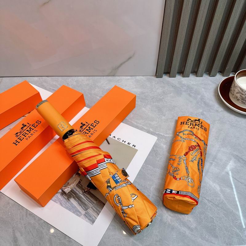 Hermes Umbrella (21)