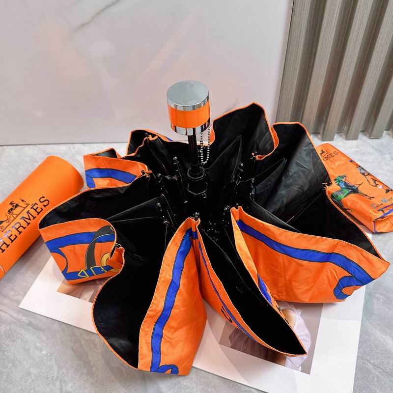 Hermes Umbrella (211)