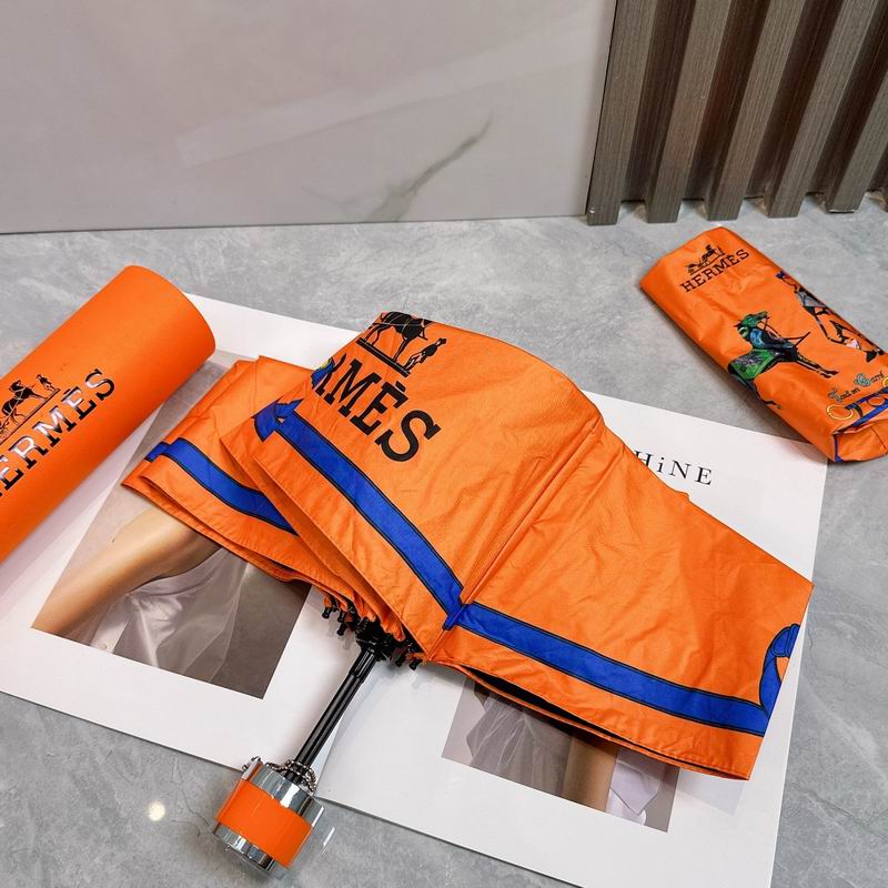 Hermes Umbrella (212)