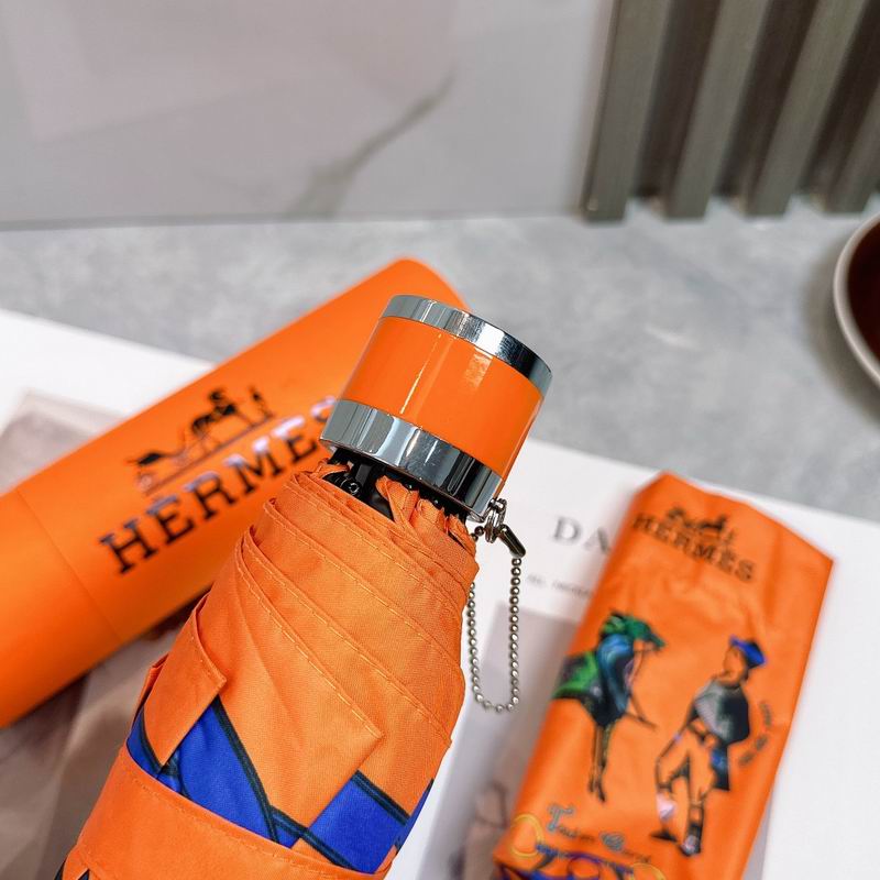 Hermes Umbrella (214)