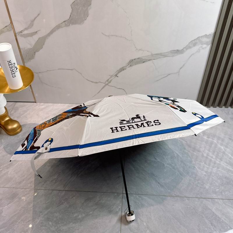 Hermes Umbrella (218)