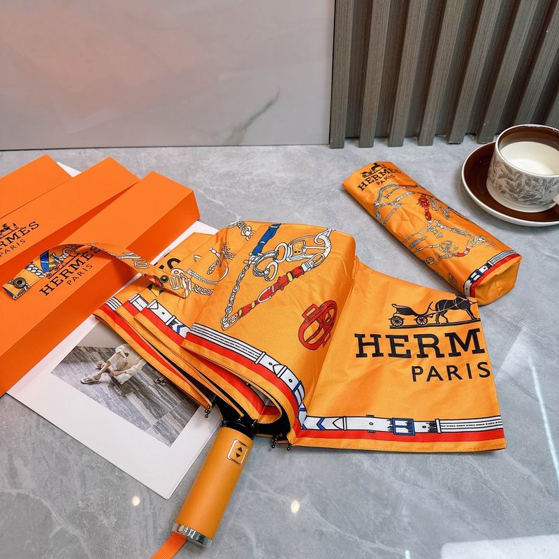 Hermes Umbrella (22)