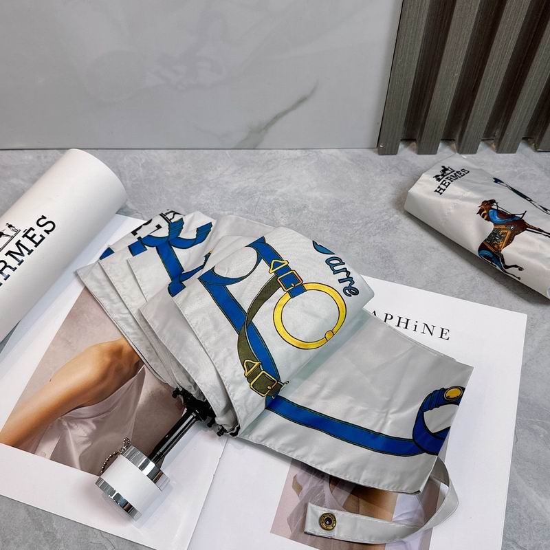 Hermes Umbrella (221)