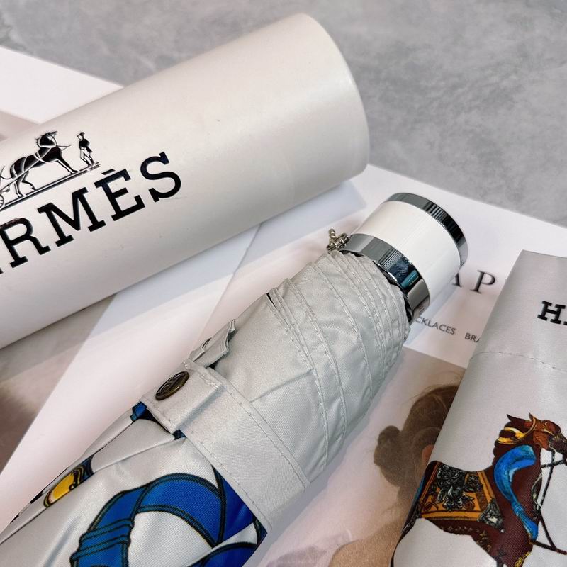 Hermes Umbrella (223)