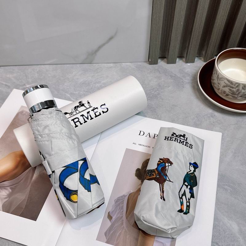 Hermes Umbrella (224)