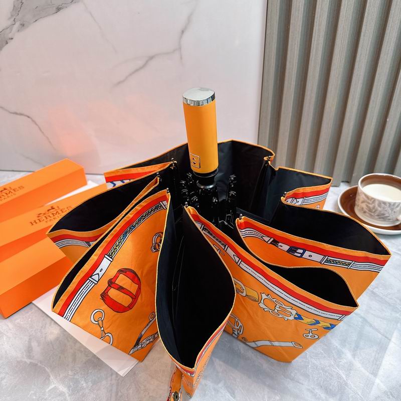 Hermes Umbrella (23)