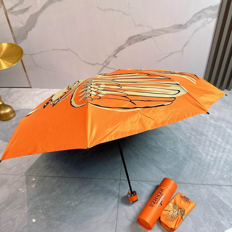 Hermes Umbrella (236)