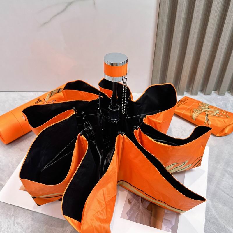 Hermes Umbrella (237)