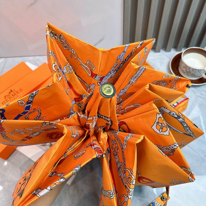 Hermes Umbrella (24)