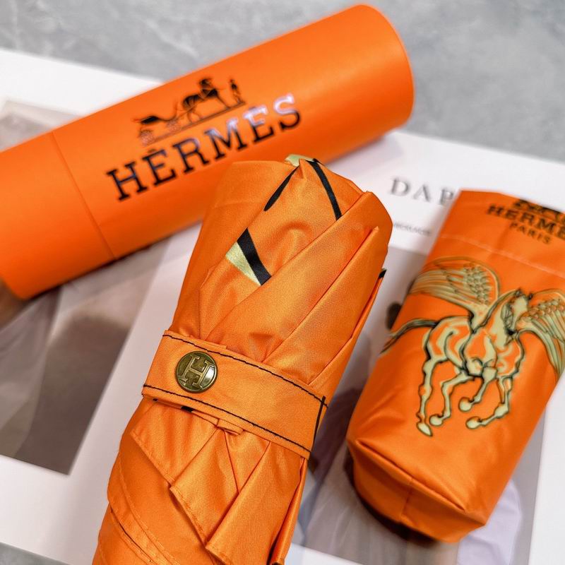 Hermes Umbrella (240)