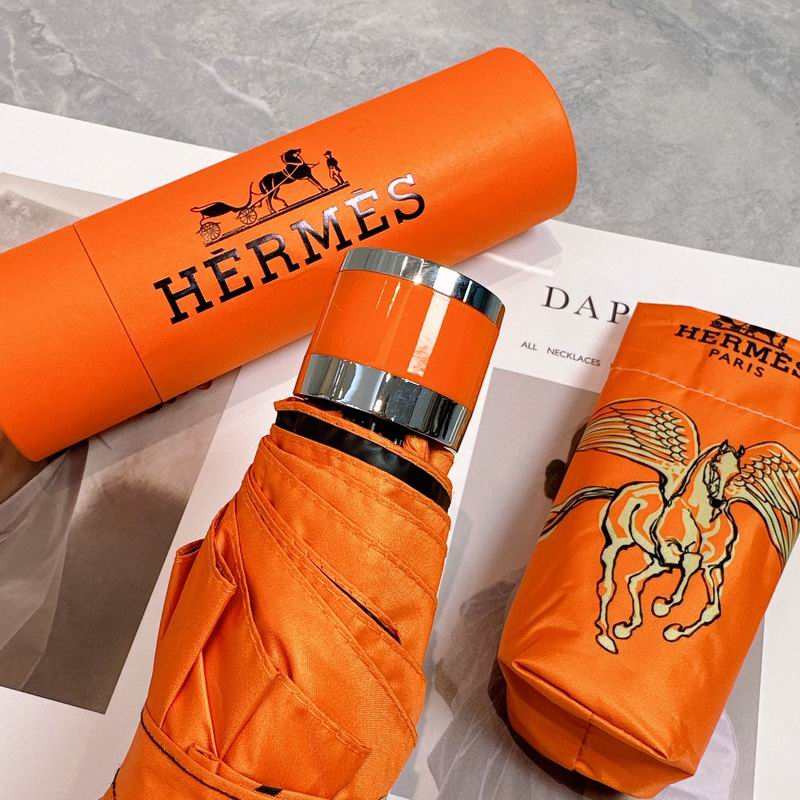Hermes Umbrella (241)