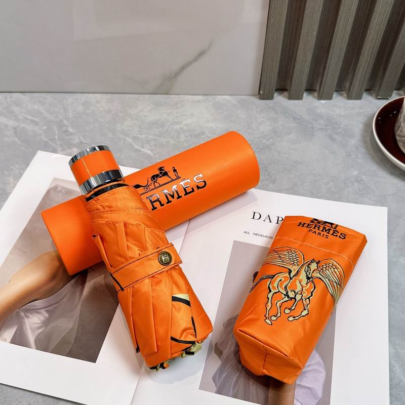 Hermes Umbrella (242)