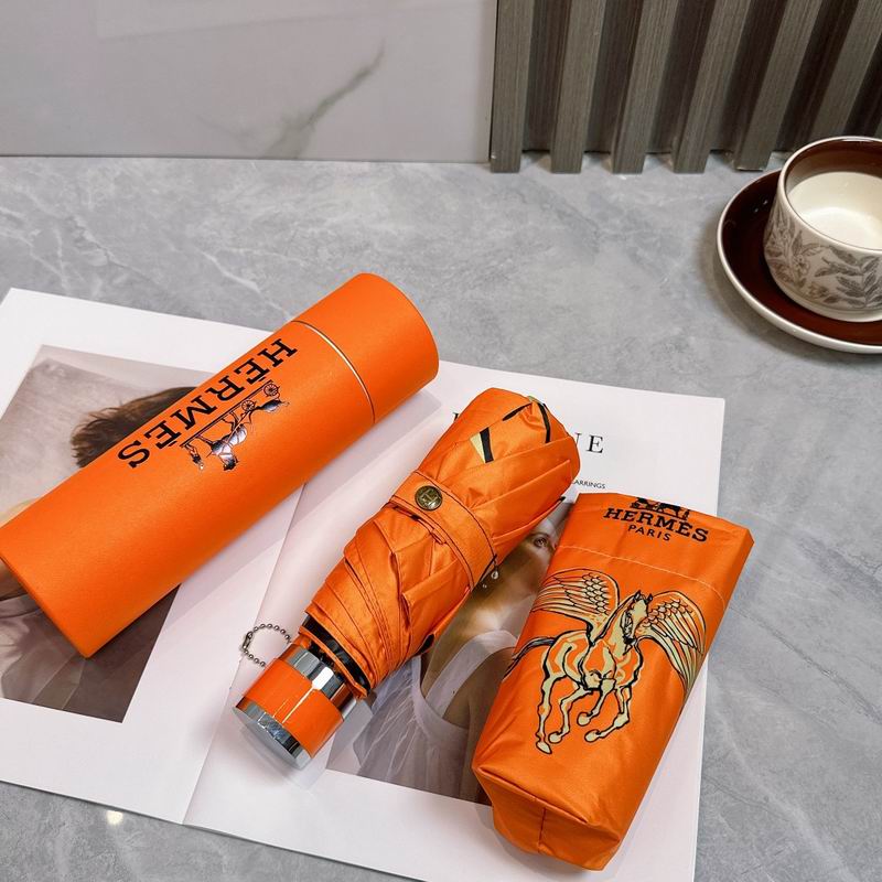 Hermes Umbrella (243)