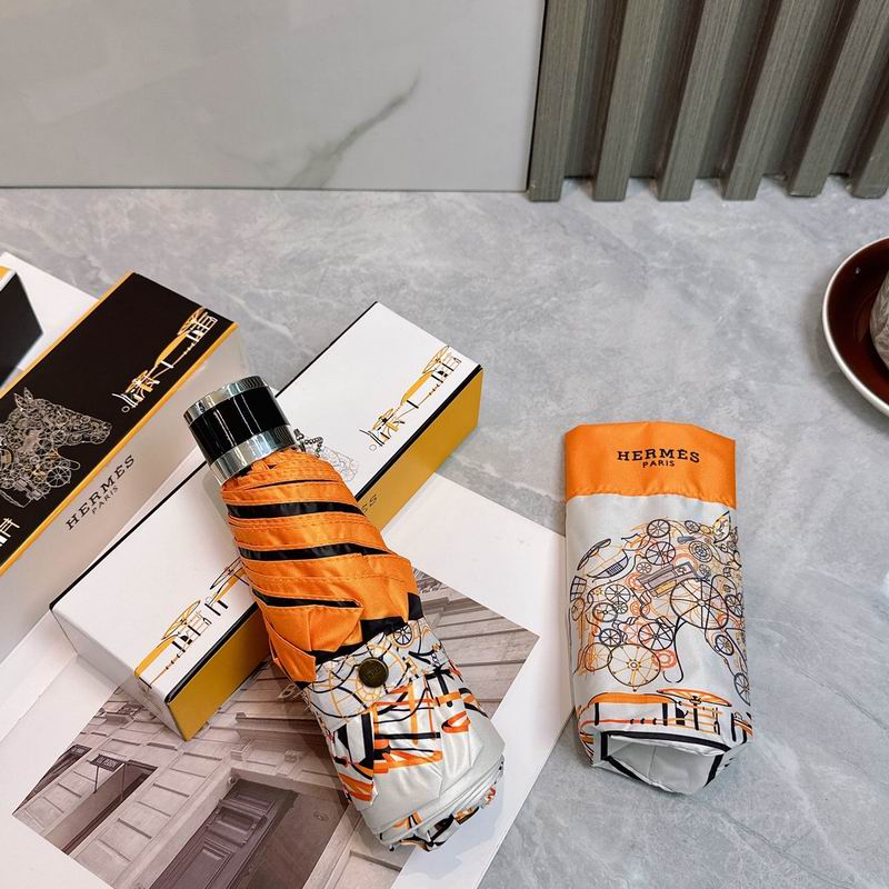 Hermes Umbrella (245)