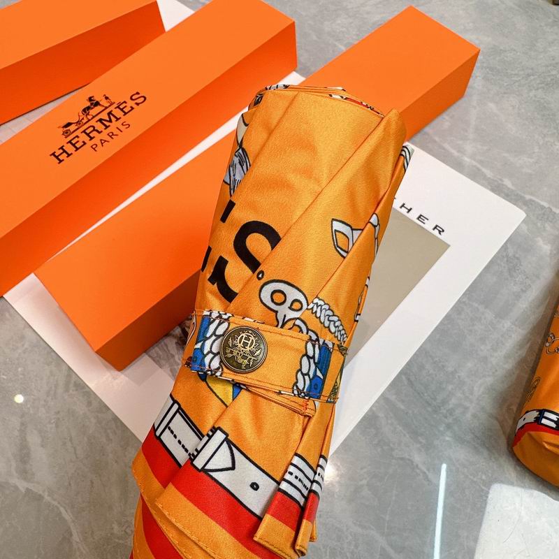 Hermes Umbrella (25)